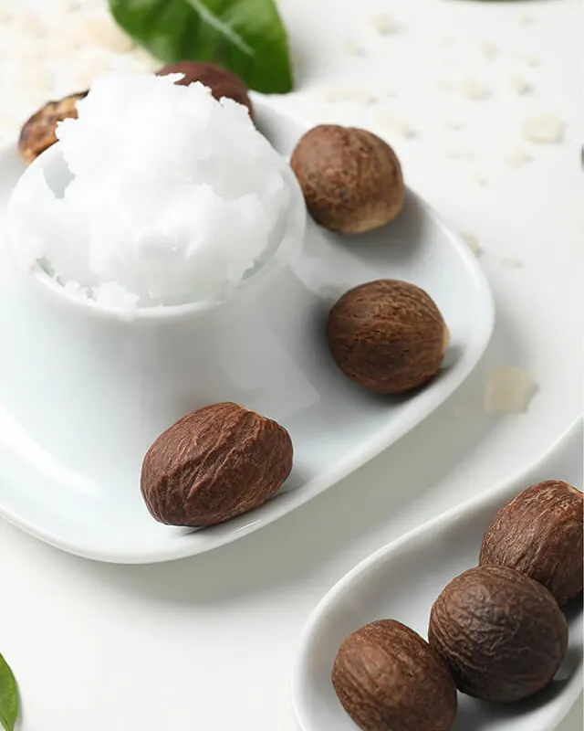 Shea butter dalam piring putih dengan biji shea dan daun hijau