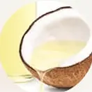 Kelapa terbelah