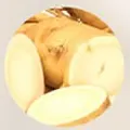 Irisan akar ginseng