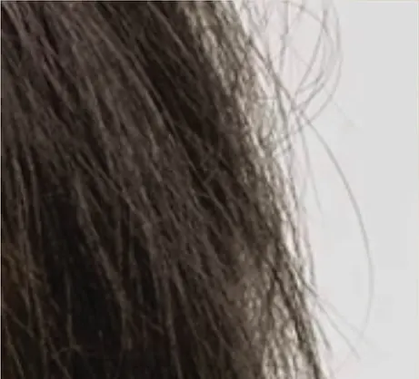 Rambut kering mengembang sebelum memakai Therapy Shampoo